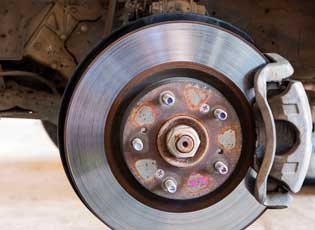 Chihuahua Transmission Clutch Replacement