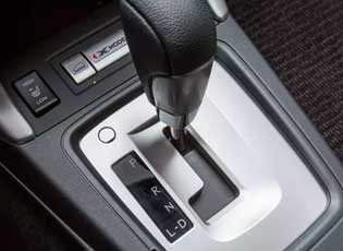 Chihuahua transmission driveline repair